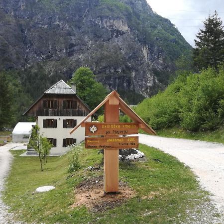 Organic Tourist Farm Pri Plajerju Apartment Трента Екстериор снимка