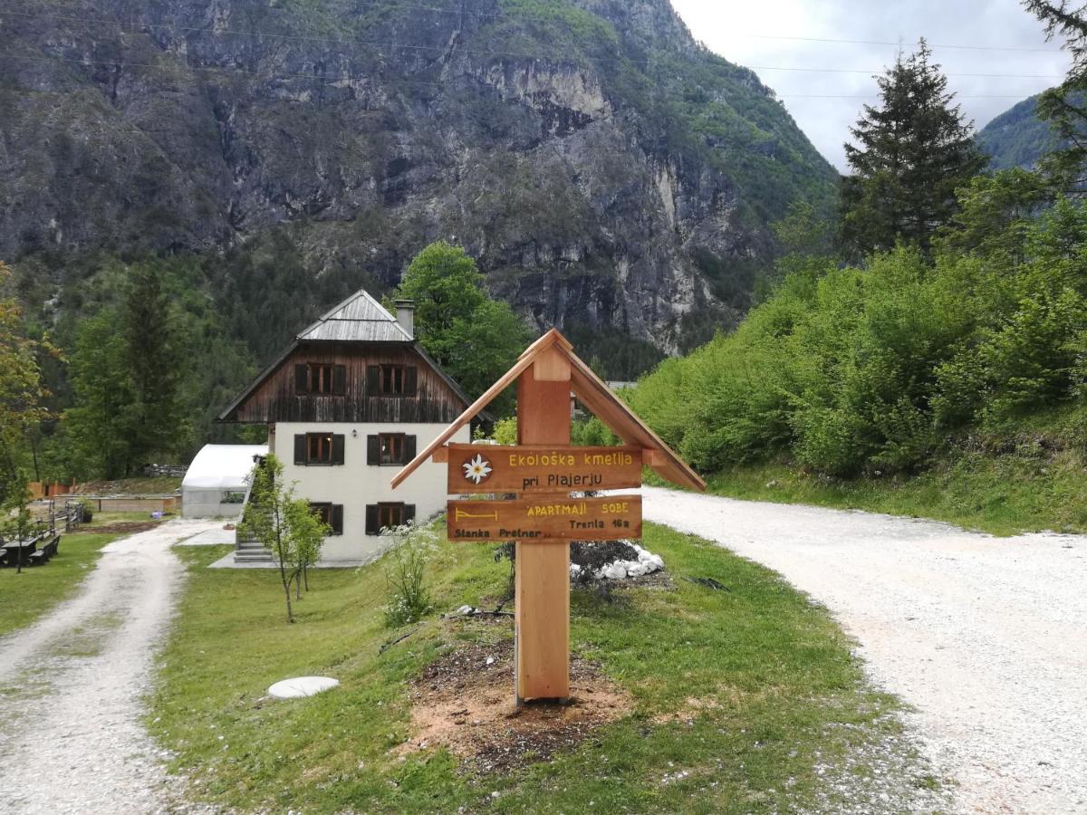 Organic Tourist Farm Pri Plajerju Apartment Трента Екстериор снимка