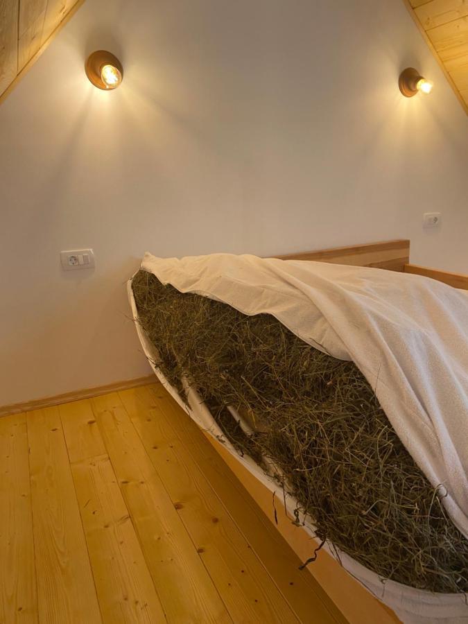 Organic Tourist Farm Pri Plajerju Apartment Трента Екстериор снимка