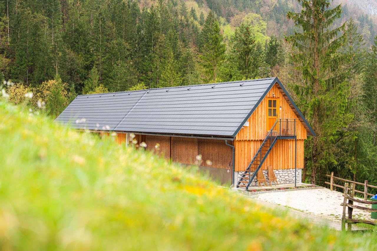 Organic Tourist Farm Pri Plajerju Apartment Трента Екстериор снимка
